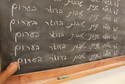 Click image to see more of the 2024 series